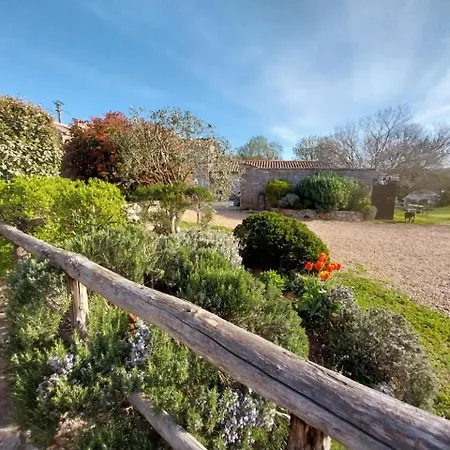 Escale De La Jurade * Rogues